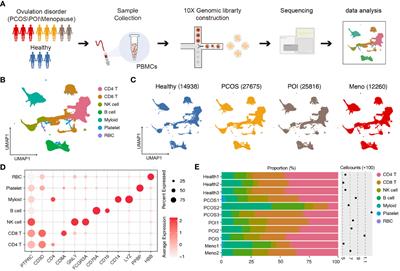 Immune and oxidative stress disorder in ovulation-dysfunction women revealed by single-cell transcriptome